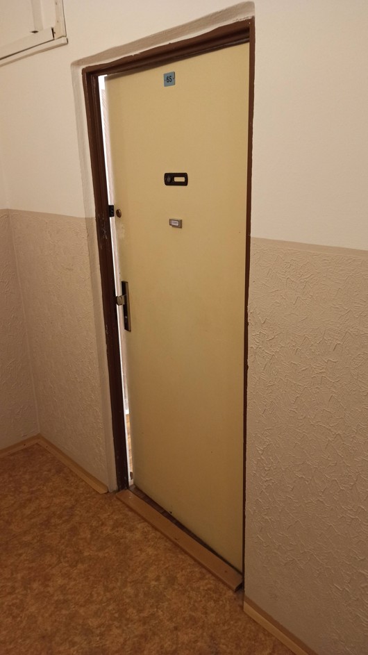 Staré dveřní křídlo a zárubeň