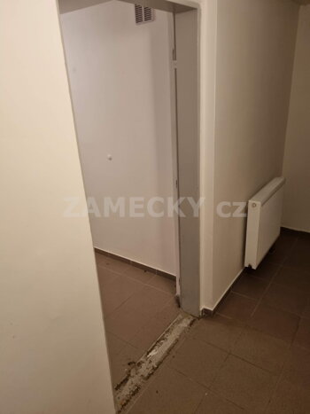 Původní dveře SVJ